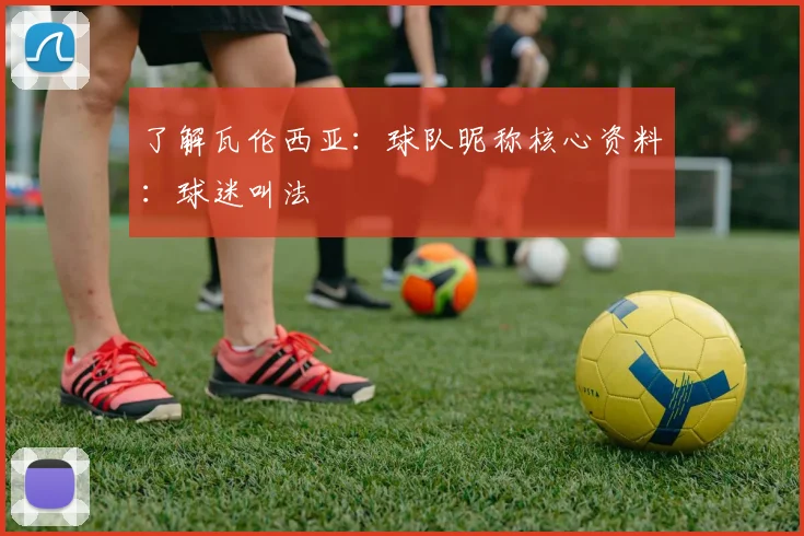 了解瓦伦西亚:球队昵称核心资料:球迷叫法