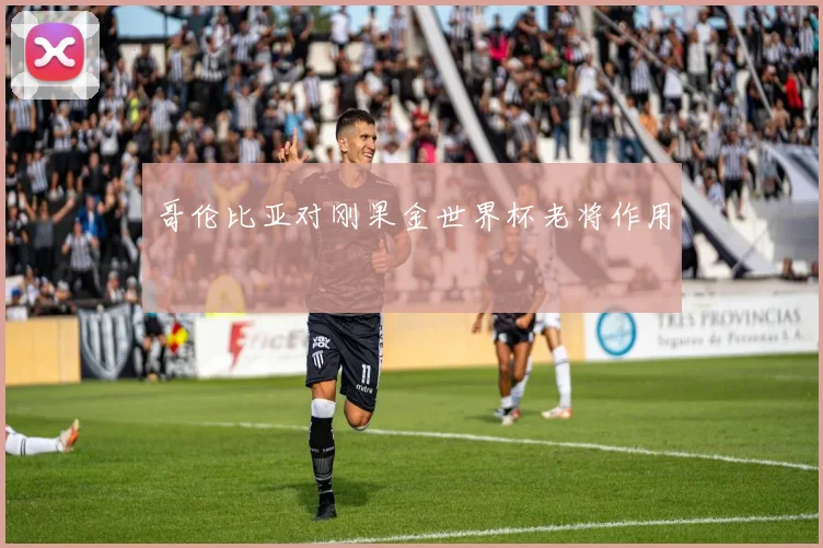 哥伦比亚对刚果金世界杯老将作用