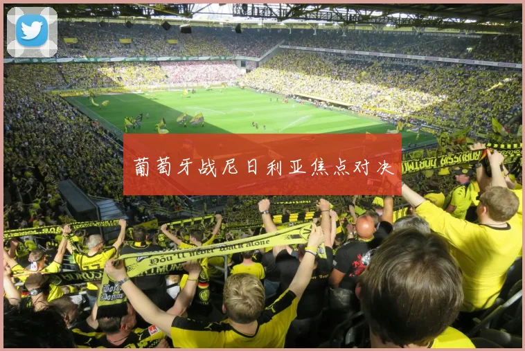 葡萄牙战尼日利亚焦点对决