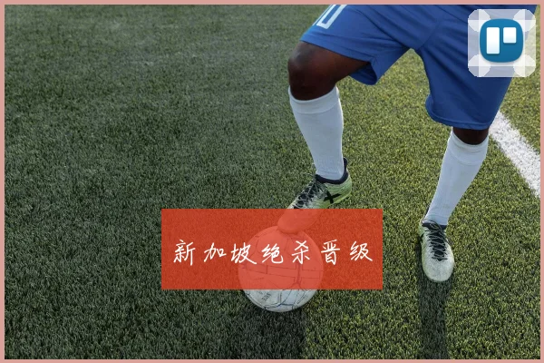 新加坡绝杀晋级