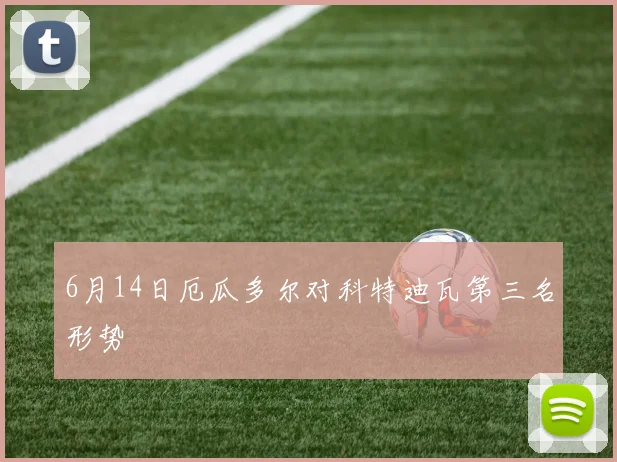 6月14日厄瓜多尔对科特迪瓦第三名形势