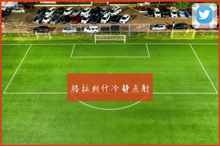 格拉利什冷静点射