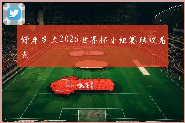 舒库罗夫2026世界杯小组赛助攻看点
