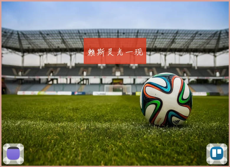 赖斯灵光一现