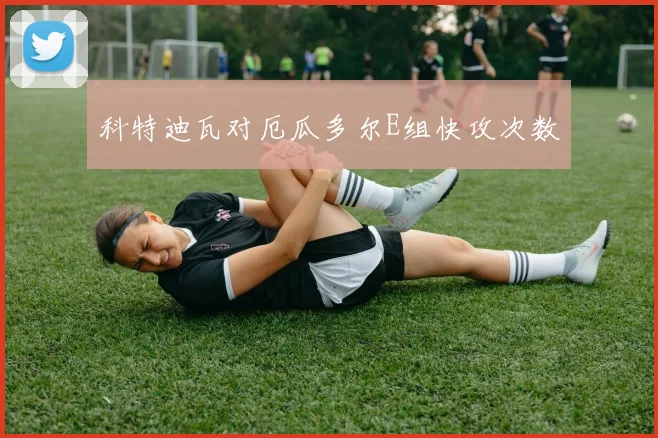 科特迪瓦对厄瓜多尔E组快攻次数