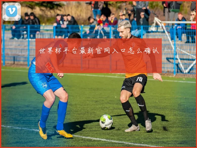世界杯平台最新官网入口怎么确认
