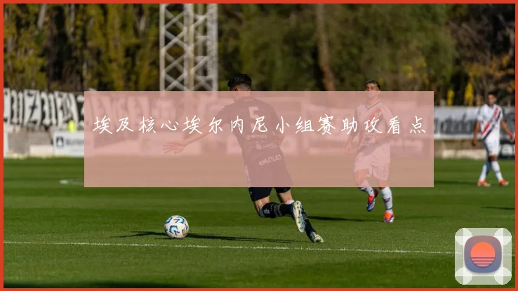 埃及核心埃尔内尼小组赛助攻看点